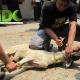 Sementara di Jonggol, daging qurban dibagikan kepada Beberapa ekor kambing qurban disembelih di halaman kantor IDC untuk disalurkan kepada warga binaan dakwah di kecamatan Suka Resmi Jonggol, antara lain: Desa Tanjakan Gombong, desa Menteng Wetan dan desa Menteng Kulon. Sementara di Jonggol, daging qurban dibagikan kepada Beberapa ekor kambing qurban disembelih di halaman kantor IDC untuk disalurkan kepada warga binaan dakwah di kecamatan Suka Resmi Jonggol, antara lain: Desa Tanjakan Gombong, desa Menteng Wetan dan desa Menteng Kulon.