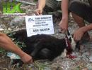 Qurban Kambing untuk Warga Binaan Dakwah