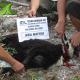 Seekor kambing qurban atas nama Abu Nafisah disembelih di halaman belakang kantor IDC. Dagingnya dikirimkan untuk komunitas keluarga mujahidin yang berdomisili di Depok, Jawa Barat. Seekor kambing qurban atas nama Abu Nafisah disembelih di halaman belakang kantor IDC. Dagingnya dikirimkan untuk komunitas keluarga mujahidin yang berdomisili di Depok, Jawa Barat.