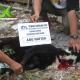 Seekor kambing qurban atas nama Abu Nafisah disembelih di halaman belakang kantor IDC. Dagingnya dikirimkan untuk komunitas keluarga mujahidin yang berdomisili di Depok, Jawa Barat. Seekor kambing qurban atas nama Abu Nafisah disembelih di halaman belakang kantor IDC. Dagingnya dikirimkan untuk komunitas keluarga mujahidin yang berdomisili di Depok, Jawa Barat.
