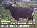 Qurban IDC untuk Masyarakat, Aktivis Dakwah dan Dakwah LP Ambon